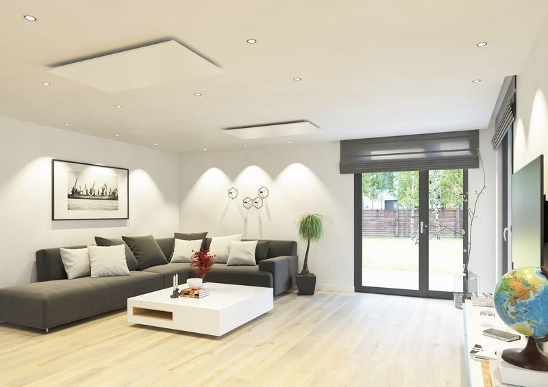 Living room and bedroom