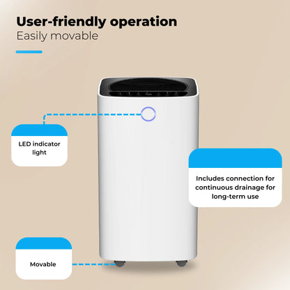 Deshumidificador compacto de 12 litros Wifi con filtro de carbono