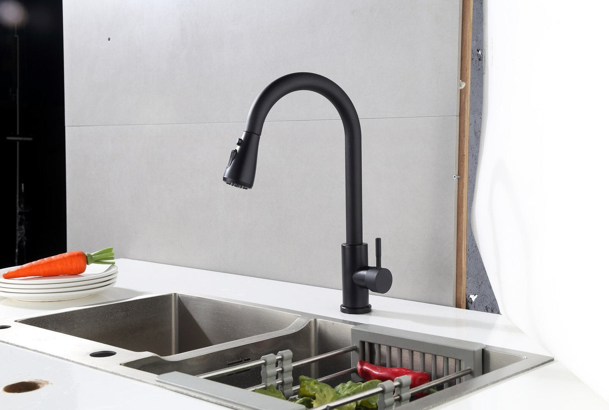 Nurion Matte Black Kitchen Faucet with Spout