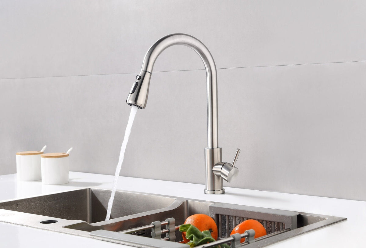 Nurion Silver Kitchen Faucet with Spout